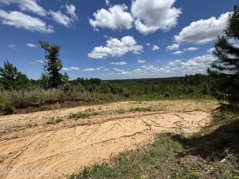 Stump Road, Crosby, MS 39633 photo 23