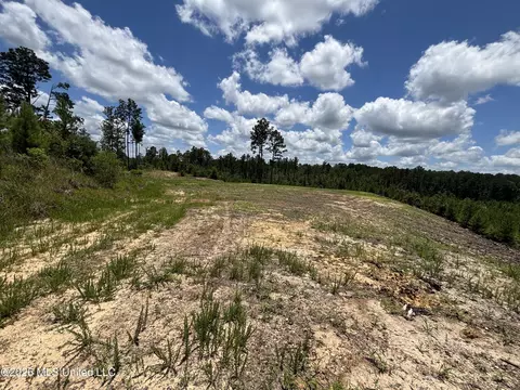 Stump Road, Crosby, MS 39633 photo 26