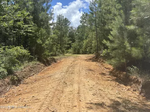 Stump Road, Crosby, MS 39633 photo 52