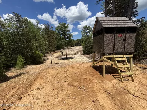 Stump Road, Crosby, MS 39633 photo 50
