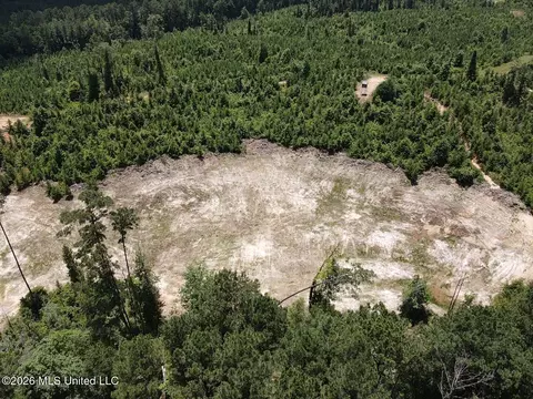 Stump Road, Crosby, MS 39633 photo 6