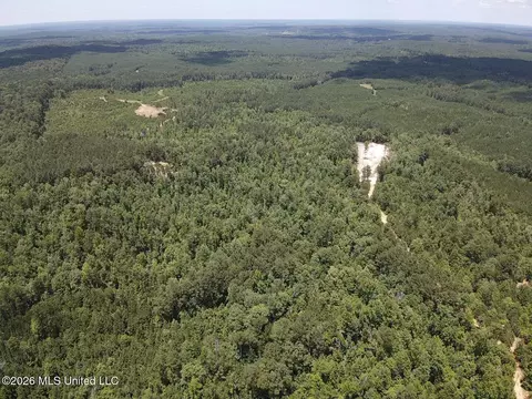 Stump Road, Crosby, MS 39633 photo 58