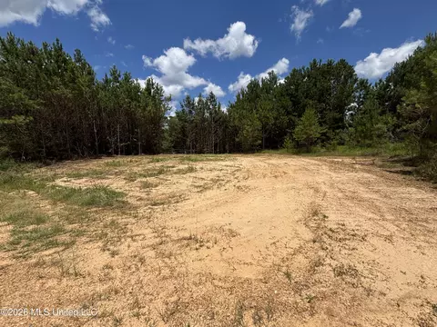 Stump Road, Crosby, MS 39633 photo 60