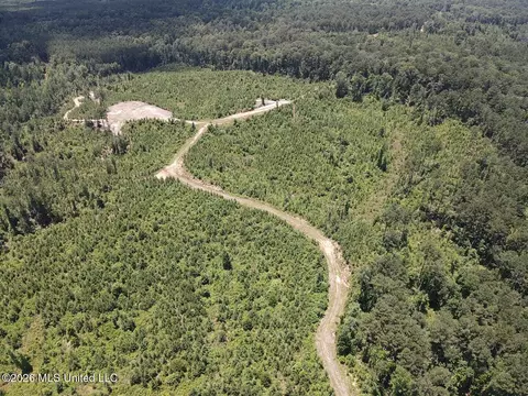 Stump Road, Crosby, MS 39633 photo 18