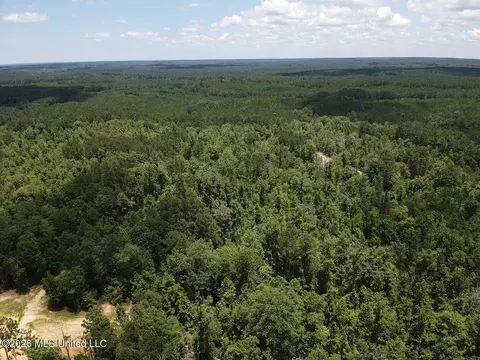 Stump Road, Crosby, MS 39633 photo 33