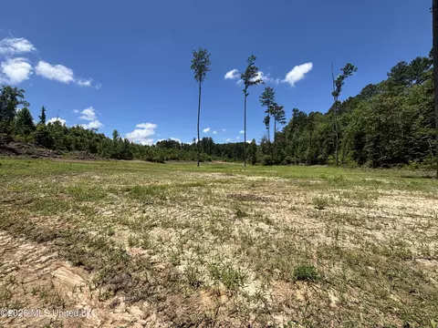 Stump Road, Crosby, MS 39633 photo 2