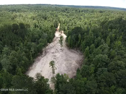 Stump Road, Crosby, MS 39633 photo 45
