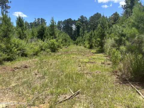 Stump Road, Crosby, MS 39633 photo 11