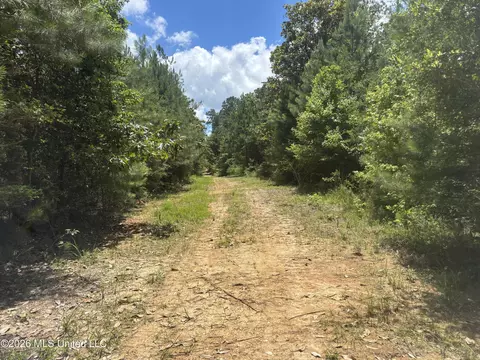 Stump Road, Crosby, MS 39633 photo 53