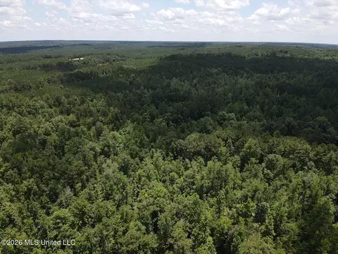Stump Road, Crosby, MS 39633 photo 31