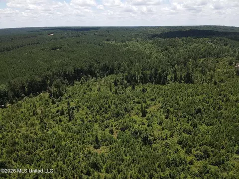 Stump Road, Crosby, MS 39633 photo 15