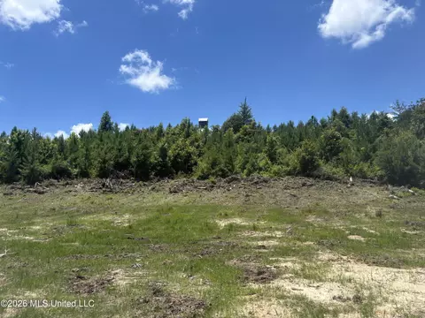Stump Road, Crosby, MS 39633 photo 8