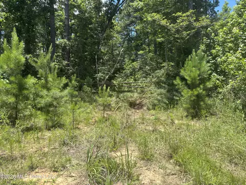 Stump Road, Crosby, MS 39633 photo 25