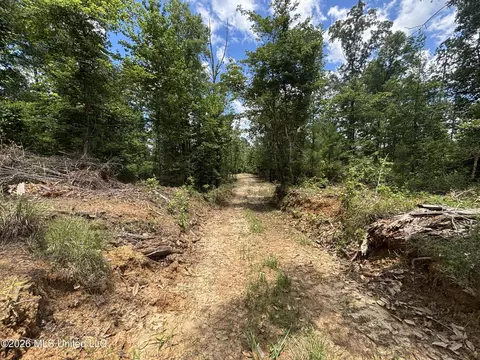 Stump Road, Crosby, MS 39633 photo 37