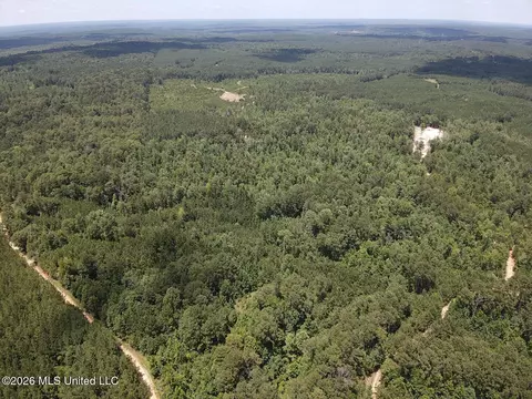Stump Road, Crosby, MS 39633 photo 57
