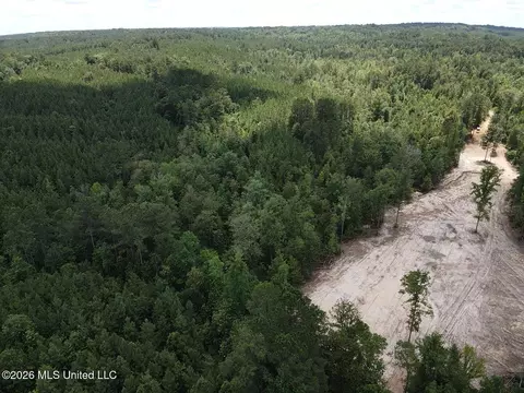 Stump Road, Crosby, MS 39633 photo 47