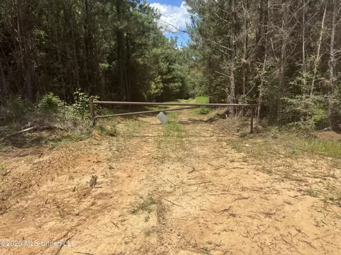 Stump Road, Crosby, MS 39633 photo 54