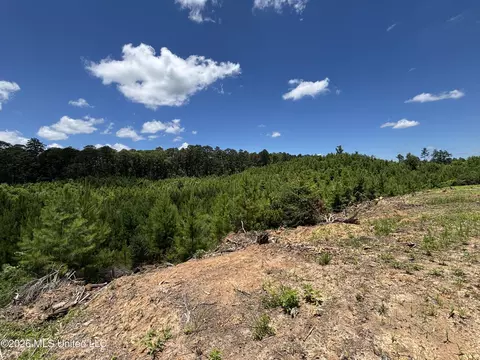 Stump Road, Crosby, MS 39633 photo 20