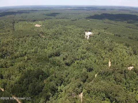 Stump Road, Crosby, MS 39633 photo 56
