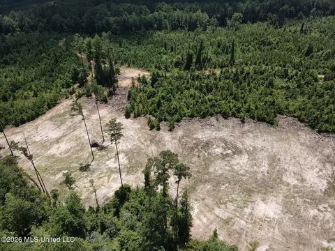 Stump Road, Crosby, MS 39633 photo 7