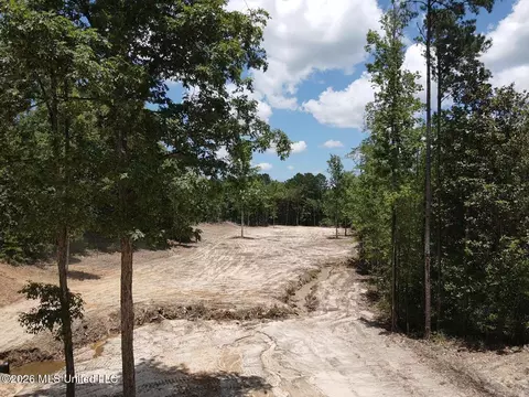 Stump Road, Crosby, MS 39633 photo 49