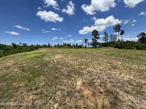 Stump Road, Crosby, MS 39633 photo 22