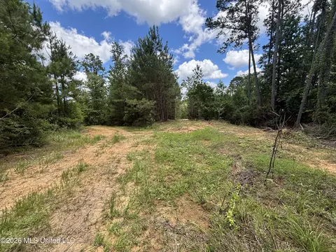 Stump Road, Crosby, MS 39633 photo 51