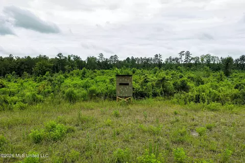 Mary Wall Bridge Rd/mt Vernon, Liberty, MS 39645