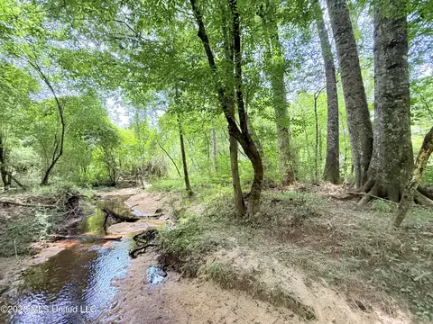 Summit Drive, Summit, MS 39666
