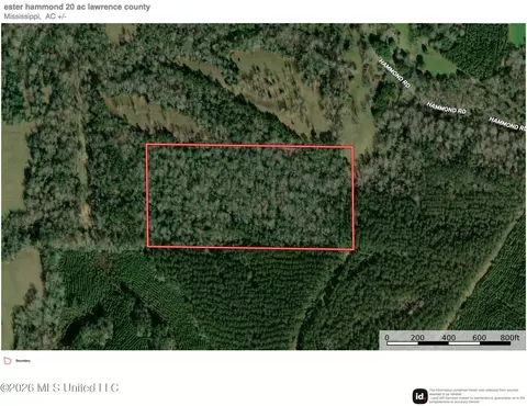 Hammond Road, Monticello, MS 39654 photo 2