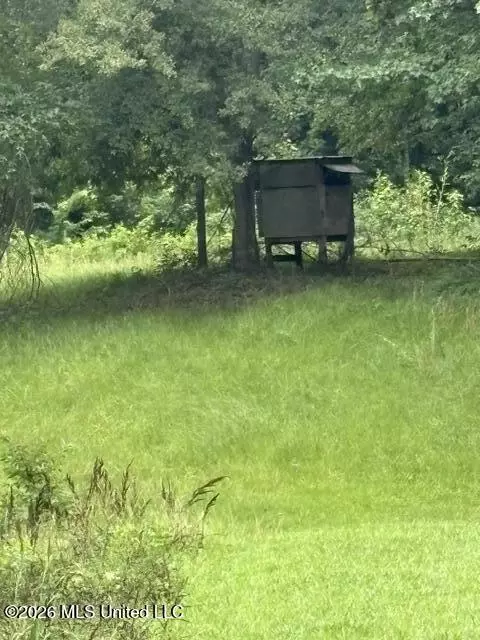 Other - 2914 S Highway 7, Holcomb, MS 38940 photo 11 of 13