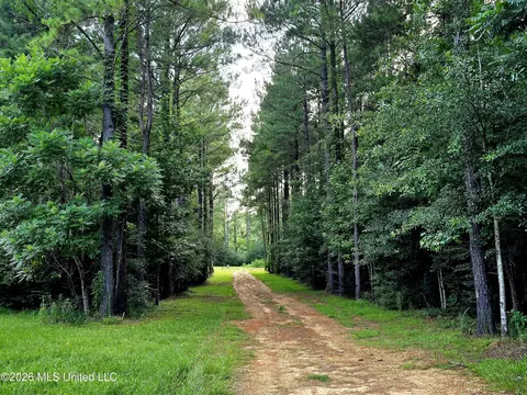 1189 Shady Grove Rd, Osyka, MS 39657