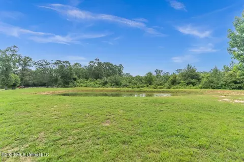83 Walker Cemetery Rd, Perkinston, MS 39573 photo 54