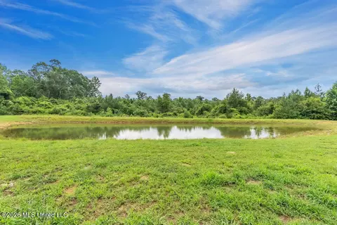 83 Walker Cemetery Rd, Perkinston, MS 39573 photo 2
