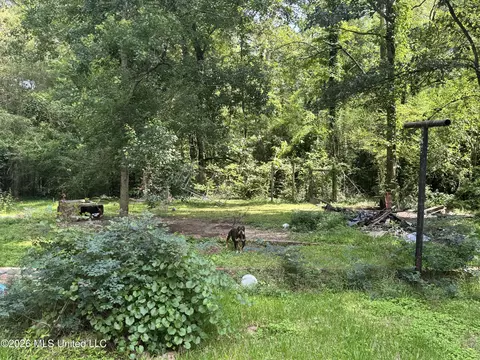 Exterior - 229 S Sykes Rd, Jackson, MS 39212 photo 3 of 3