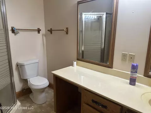 Bath - 2723 Davis Rd, Terry, MS 39170 photo 2 of 4