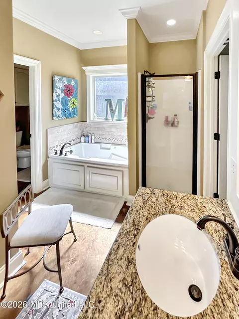 Bath - 307 Winterfield Ct, Brandon, MS 39042 photo 2 of 3