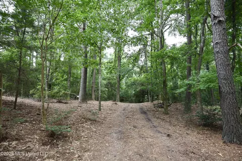 867 Cherryfield Rd, Woodville, MS 39669