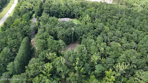 Old Dees Drive, Vancleave, MS 39565 photo 3