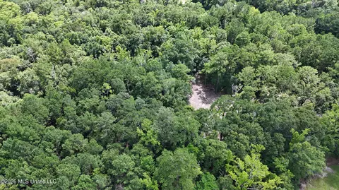 Old Dees Drive, Vancleave, MS 39565 photo 6