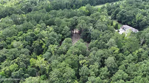 Old Dees Drive, Vancleave, MS 39565 photo 4