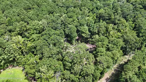 Old Dees Drive, Vancleave, MS 39565