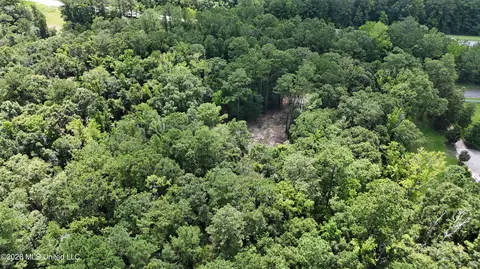 Old Dees Drive, Vancleave, MS 39565 photo 5