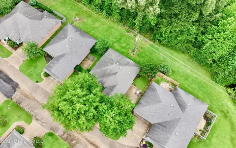 View/Area - 604 E Biscayne Cv, Clinton, MS 39056 photo 3 of 4