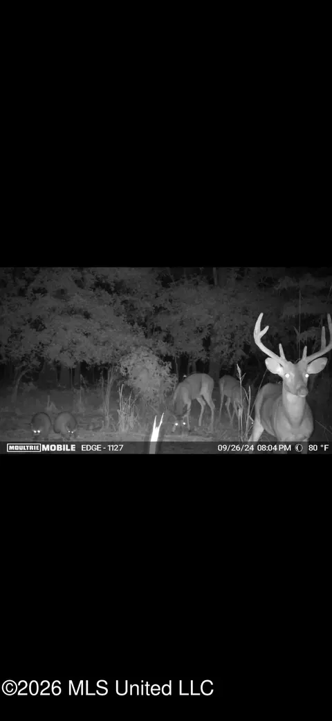 0014 Windermere Blvd, Madison, MS 39110 photo 5