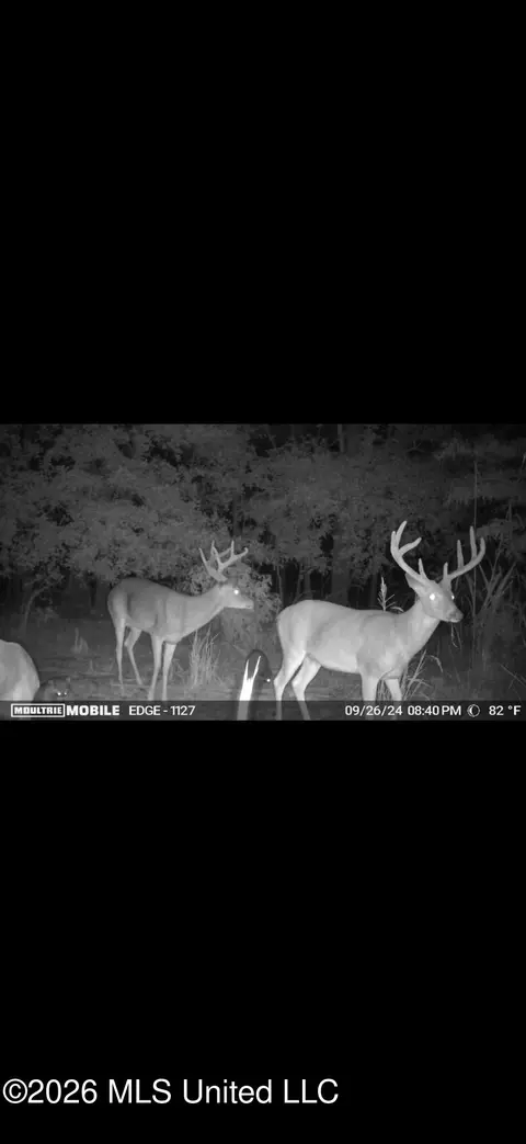 0014 Windermere Blvd, Madison, MS 39110 photo 4