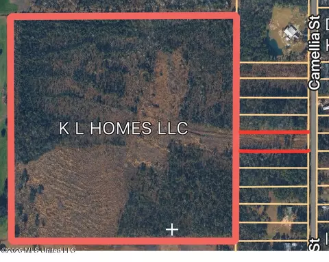 Camellia Street, Kiln, MS 39556