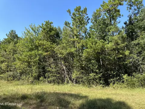 92 4 Acres Crossroads Merrill Rd, Lucedale, MS 39452