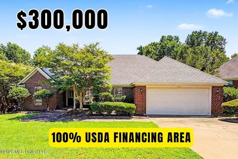 1195 Pendulum Dr, Hernando, MS 38632 photo 1