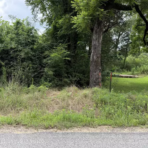 Midway Odom Road, Forest, MS 39074